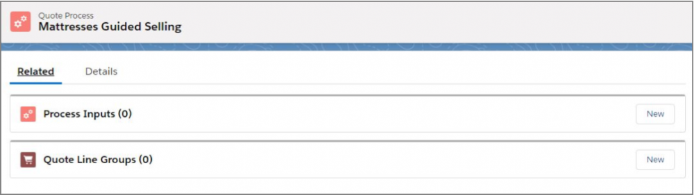 Salesfroce CPQ Quote Process Related Options
